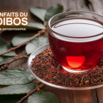 Tasse de rooibos rouge avec feuilles séchées, propriétés antioxydantes