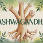 Racine d'ashwagandha stylisée avec feuilles vertes