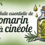 Bouteille de romarin à cinéole et branches de romarin fraîches