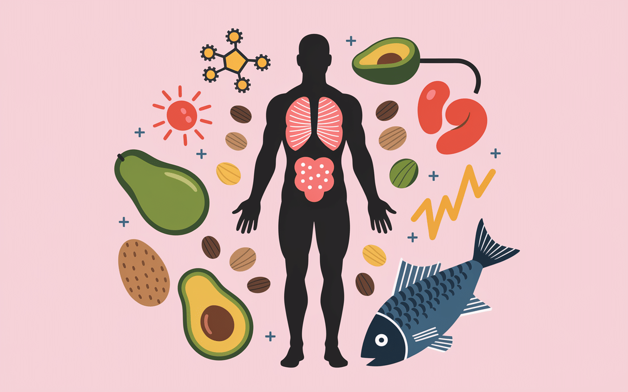 lipides musculation rôle énergie récupération