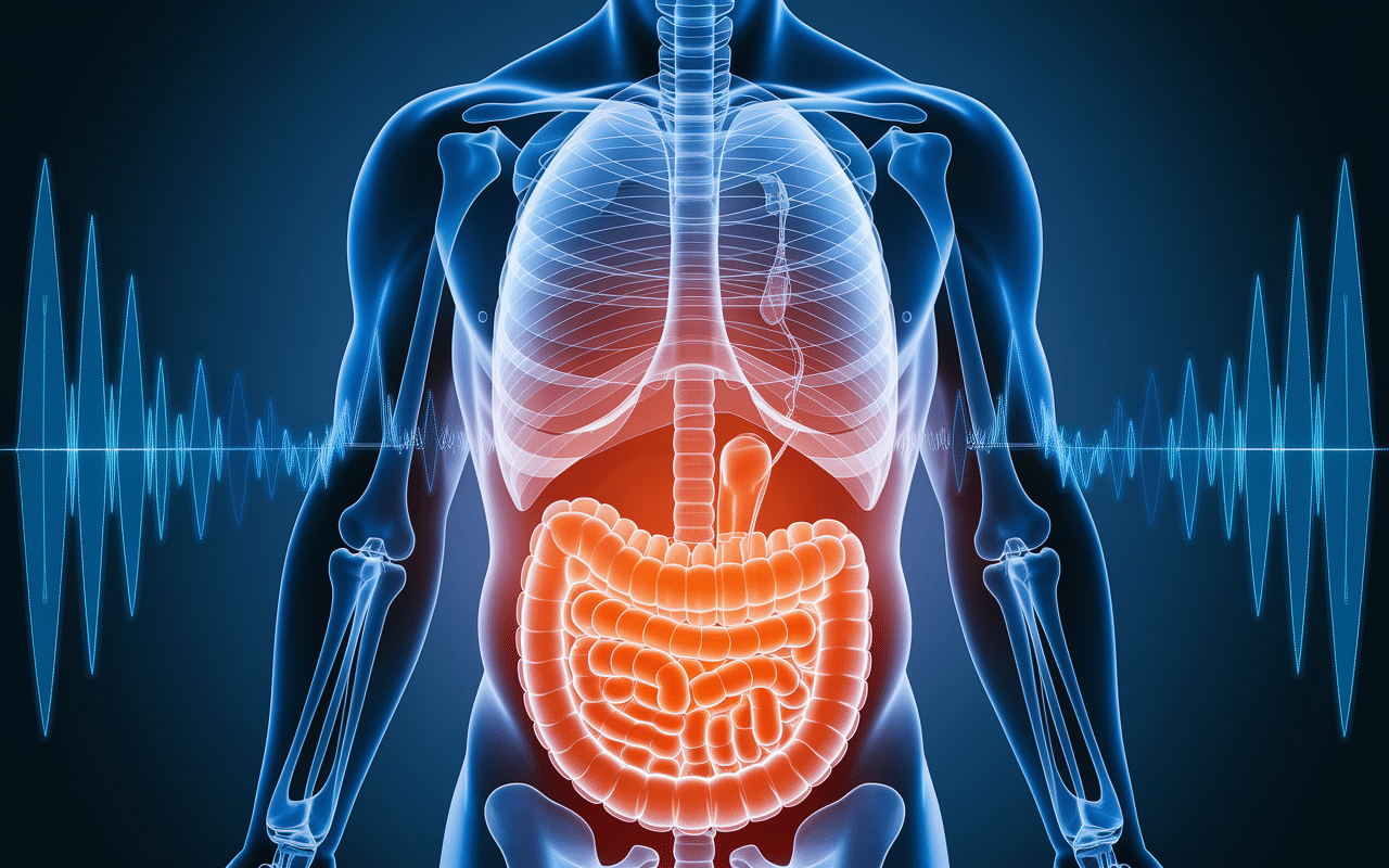 Bladder scan technique ondes ultrasonores