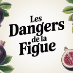 Danger de la figue figues fraîches violettes vertes intérieur rouge