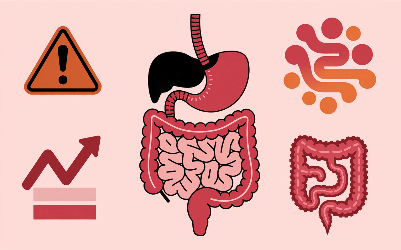 Système digestif et risques santé liés à maltodextrine danger