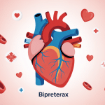 Illustration Bipreterax protection cardiovasculaire