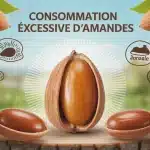 illustration consommation excessive d amandes avec amande rayonnante