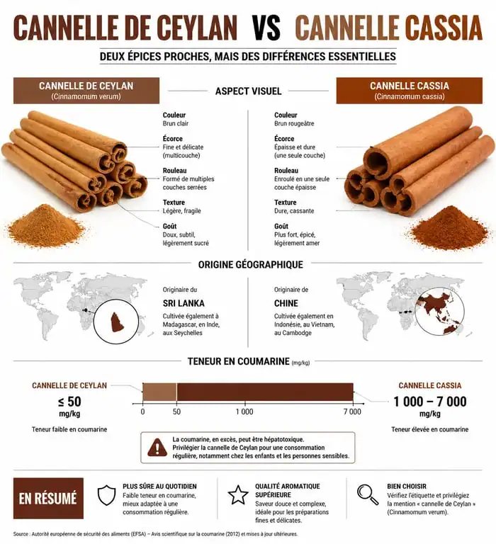 Infographie comparative des bienfaits et risques de la cannelle de Ceylan et Cassia
