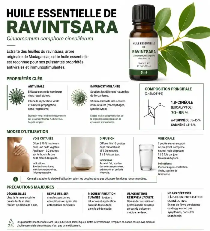 Infographie des bienfaits et précautions de l'huile essentielle de ravintsara