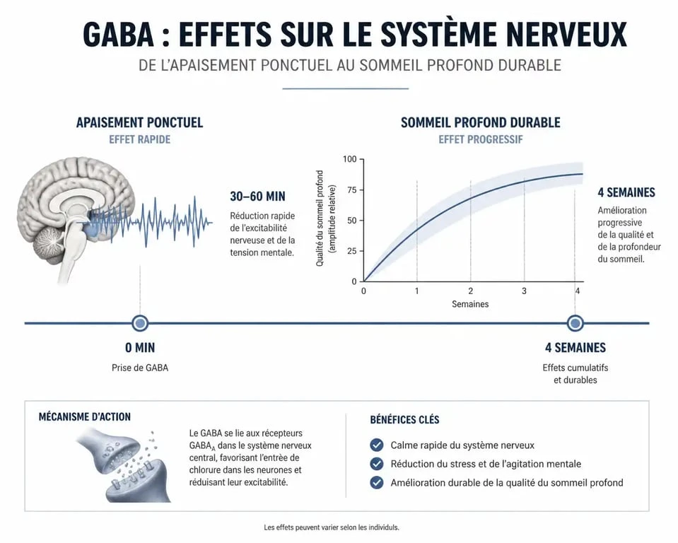 Infographie sur le délai d'action du GABA sur le stress et le sommeil