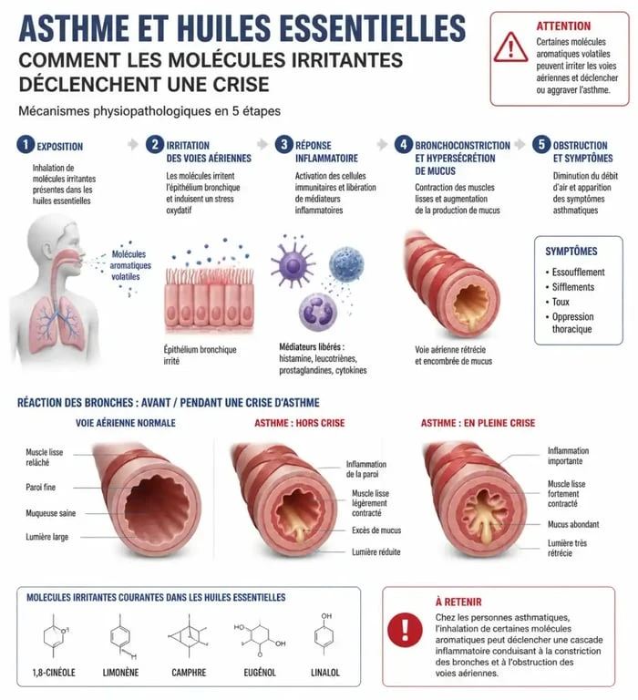 Infographie sur les risques des huiles essentielles pour les personnes asthmatiques et molécules à éviter