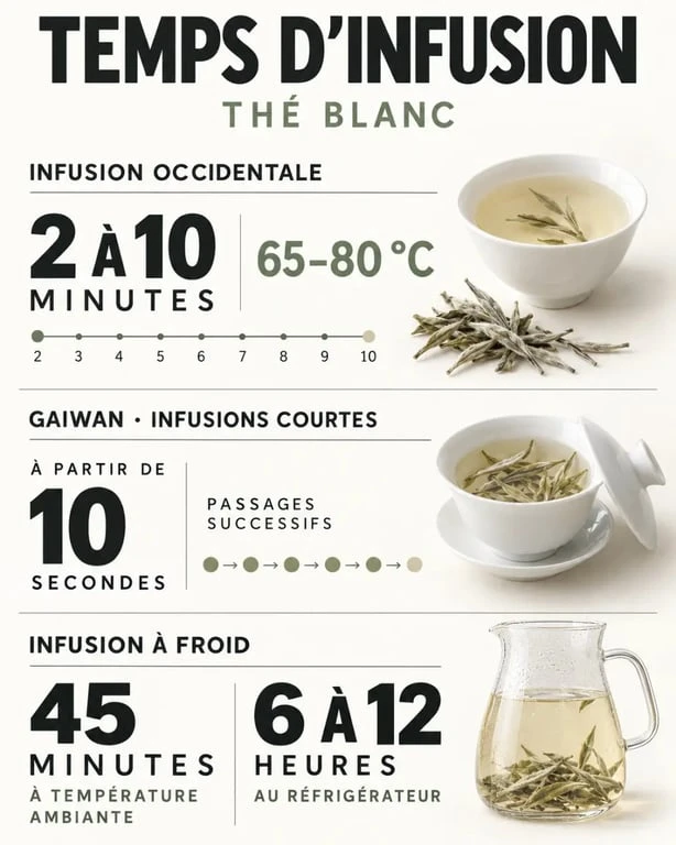 Infographie sur le temps d'infusion du thé blanc selon la méthode, la température et la durée